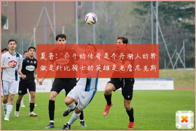 夏普：公牛的传奇是乔丹湖人的骄傲是科比骑士的英雄是老詹尼克斯的希望是布伦森